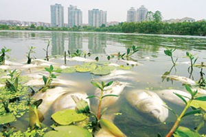 深圳水質(zhì)檢測機(jī)構(gòu)