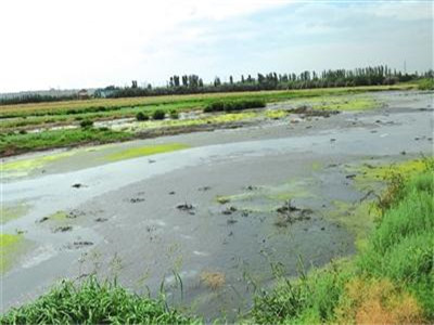 深圳水質(zhì)檢測機(jī)構(gòu)